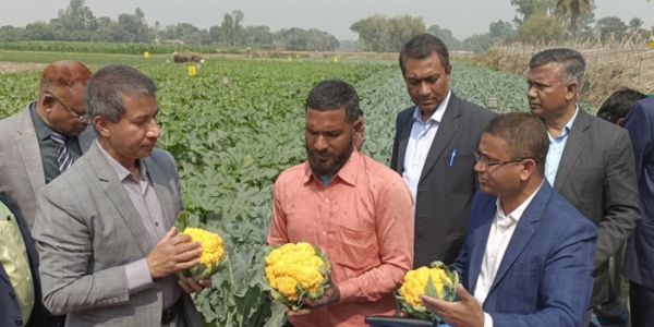কৃষকবান্ধব কৃষি অর্থনীতি নিয়ে কাজ করছে সরকার: কৃষি সচিব